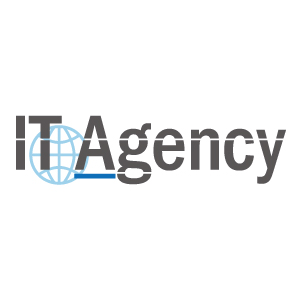 IT Agency