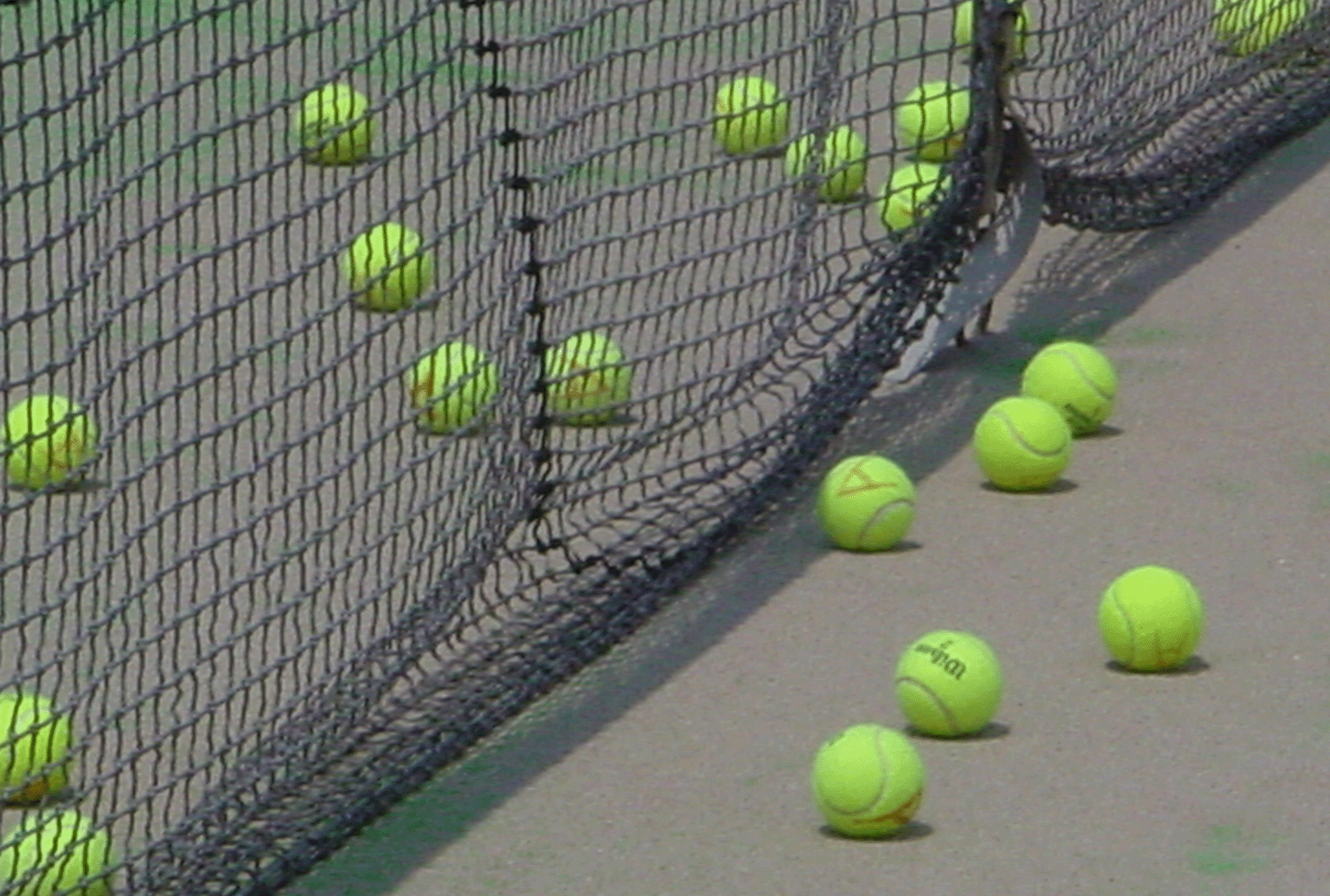 青い鳥浜寺公園テニススクール