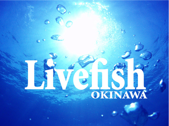 Livefish OKINAWA