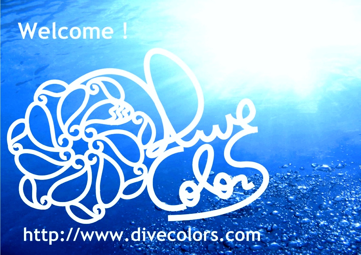 Dive ColorS